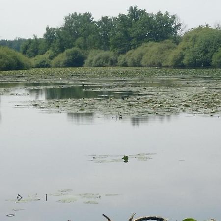 Maison De Ferme Au Calme Jusqu'A 10 Personnes Gannay-sur-Loire Exteriör bild