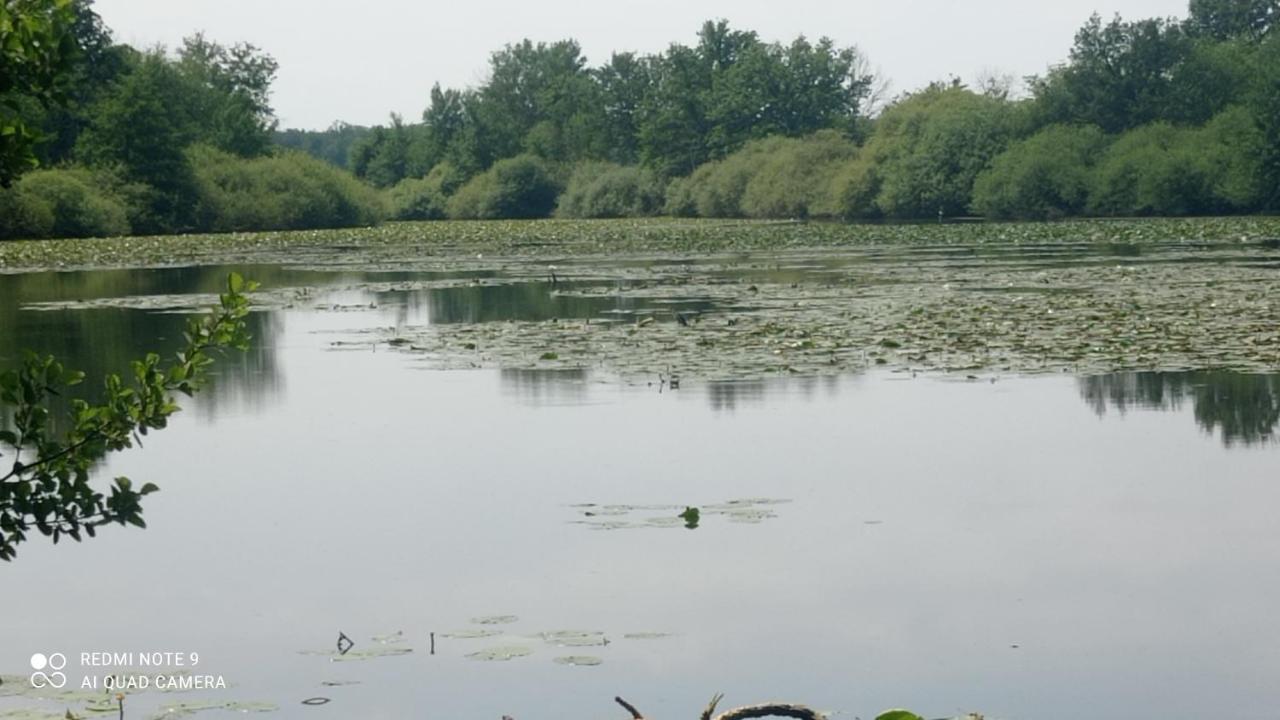 Maison De Ferme Au Calme Jusqu'A 10 Personnes Gannay-sur-Loire Exteriör bild
